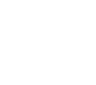 icon-vergunning